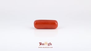 Red Coral - 6.4 Carat