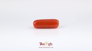 Red Coral - 6.6 Carat