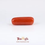 Red Coral - 6.6 Carat