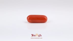 Red Coral - 6.55 Carat