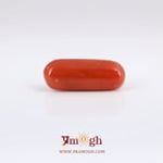 Red Coral - 6.55 Carat