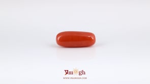 Red Coral - 6.5 Carat