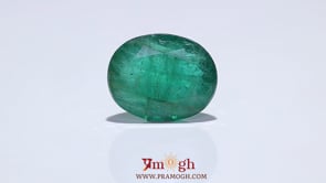 Zambian Emerald - 12.5 Carat