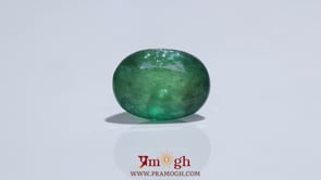 Zambian Emerald - 9.5 Carat
