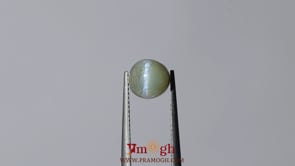 Catseye Chrysoberyl - 4.3 Carat