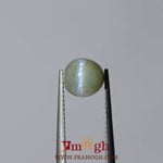 Catseye Chrysoberyl - 4.3 Carat