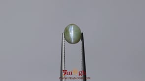 Catseye Chrysoberyl - 4.2 Carat
