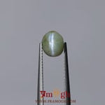 Catseye Chrysoberyl - 4.2 Carat