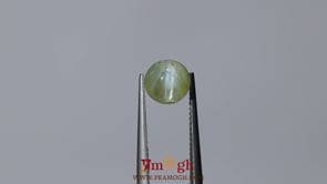 Catseye Chrysoberyl - 4.35 Carat