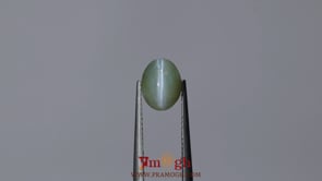 Catseye Chrysoberyl - 3.9 Carat