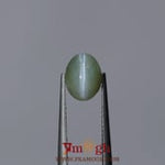 Catseye Chrysoberyl - 3.9 Carat