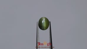 Catseye Chrysoberyl - 3.45 Carat