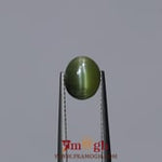 Catseye Chrysoberyl - 3.45 Carat