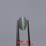 Catseye Chrysoberyl - 3.25 Carat