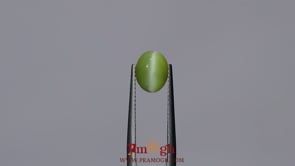 Catseye Chrysoberyl - 3.75 Carat