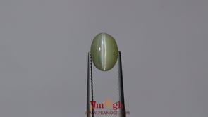 Catseye Chrysoberyl - 6.45 Carat
