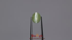 Catseye Chrysoberyl - 3.05 Carat
