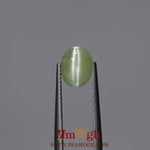 Catseye Chrysoberyl - 3.05 Carat