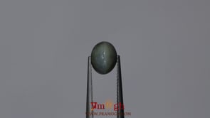 Catseye Chrysoberyl - 3.9 Carat