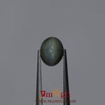 Catseye Chrysoberyl - 3.9 Carat