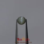 Catseye Chrysoberyl - 1.8 Carat