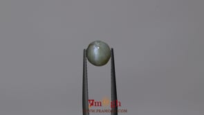 Catseye Chrysoberyl - 2.75 Carat