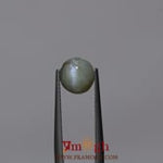 Catseye Chrysoberyl - 2.75 Carat