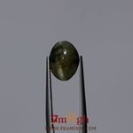Catseye Chrysoberyl - 5.55 Carat