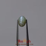 Catseye Chrysoberyl - 3.1 Carat