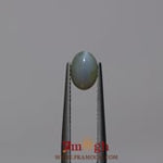 Catseye Chrysoberyl - 1.5 Carat