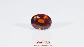 Hessonite (Gomed) - 6.6 Carat