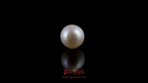 Pearl - 3.7 Carat