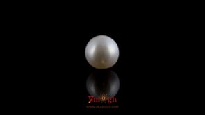 Pearl - 3.9 Carat