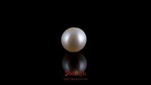 Pearl - 4.2 Carat