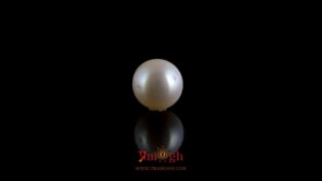 Pearl - 3.65 Carat
