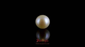 Pearl - 3.93 Carat