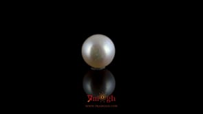 Pearl - 4.05 Carat