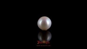 Pearl - 3.8 Carat