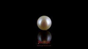 Pearl - 4.2 Carat