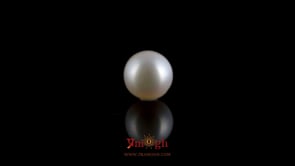 Pearl - 4.2 Carat
