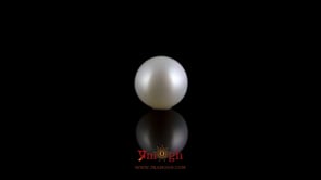 Pearl - 4.2 Carat