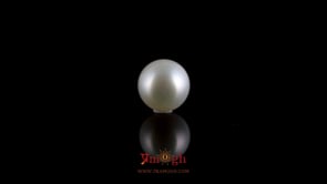 Pearl - 3.85 Carat