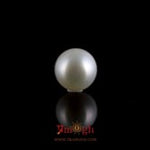 Pearl - 3.85 Carat