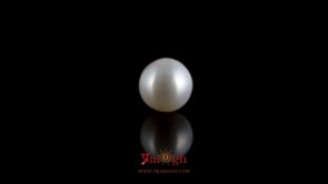 Pearl - 4.2 Carat