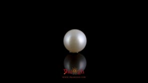 Pearl - 3.8 Carat