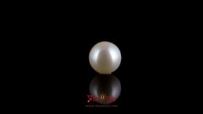 Pearl - 4.05 Carat
