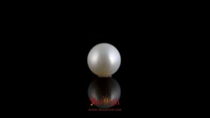 Pearl - 3.95 Carat