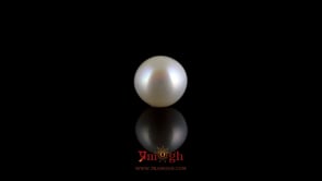 Pearl - 4.08 Carat