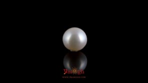 Pearl - 3.88 Carat