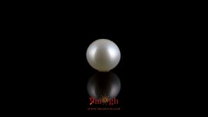 Pearl - 3.85 Carat